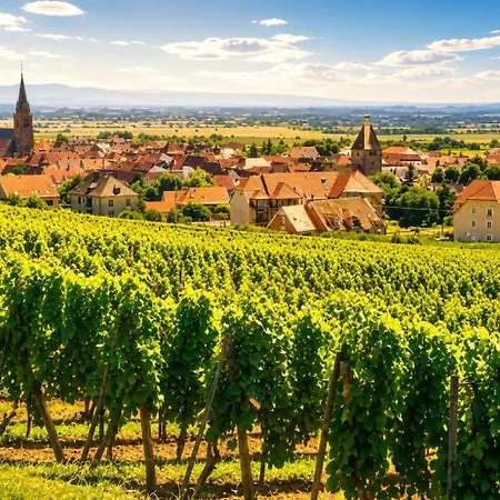 1 A 5mn De Colmar Ingersheim